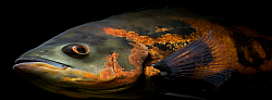 Fisch
